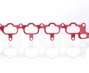 Thermalnator intake gasket