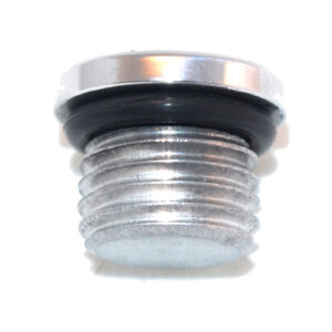 Straight Thread O-Ring Plug -03