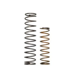 OLD BOV Race Port Spring System