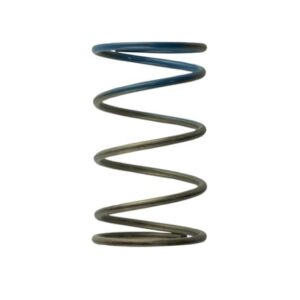 2011 WG38/4045 10PSI Outer Spring Brown/Blue