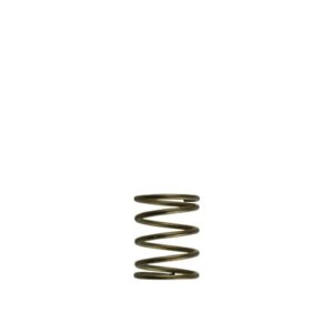 WG45/50 Gen-V 3psi Inner spring - Orange