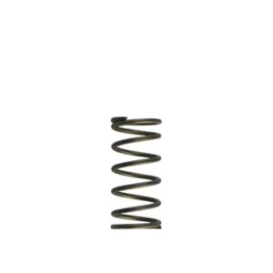 WG60 Gen-V 5psi Inner spring - Purple