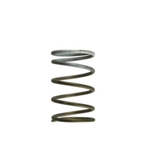 WG60 Gen-V 7psi middle spring - White