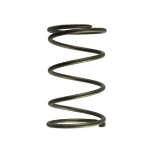 WG60 Gen-V 14psi outer spring - Brown