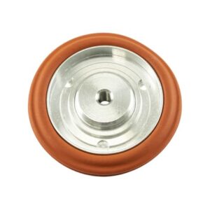 IWG75 Twin Port Diaphragm Assembly Replacement