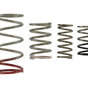 GenV IWG Spring Replacement Kit
