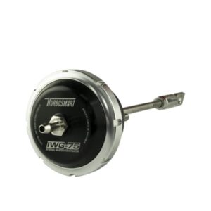 IWG75 Fiat 124 Spider/500T/L/X/Abarth 2012+ 7psi Outer Spring Fitted